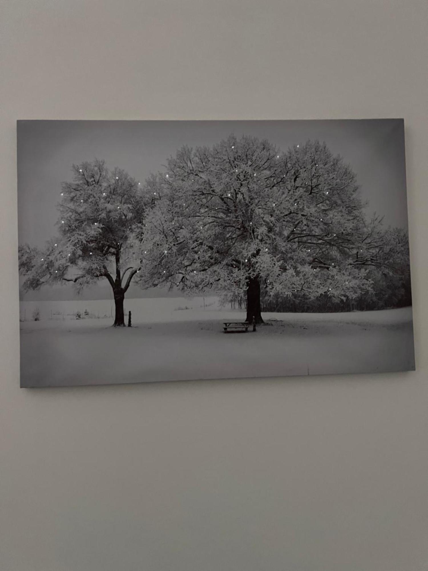 Gerardmer : Residence "L'Eau Vive" المظهر الخارجي الصورة