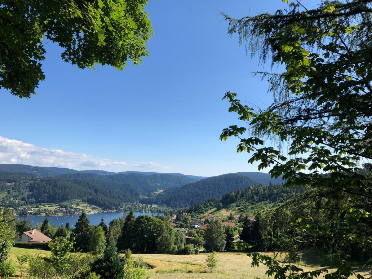 Gerardmer : Residence "L'Eau Vive" المظهر الخارجي الصورة