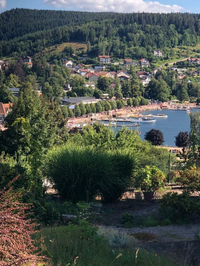 Gerardmer : Residence "L'Eau Vive" المظهر الخارجي الصورة